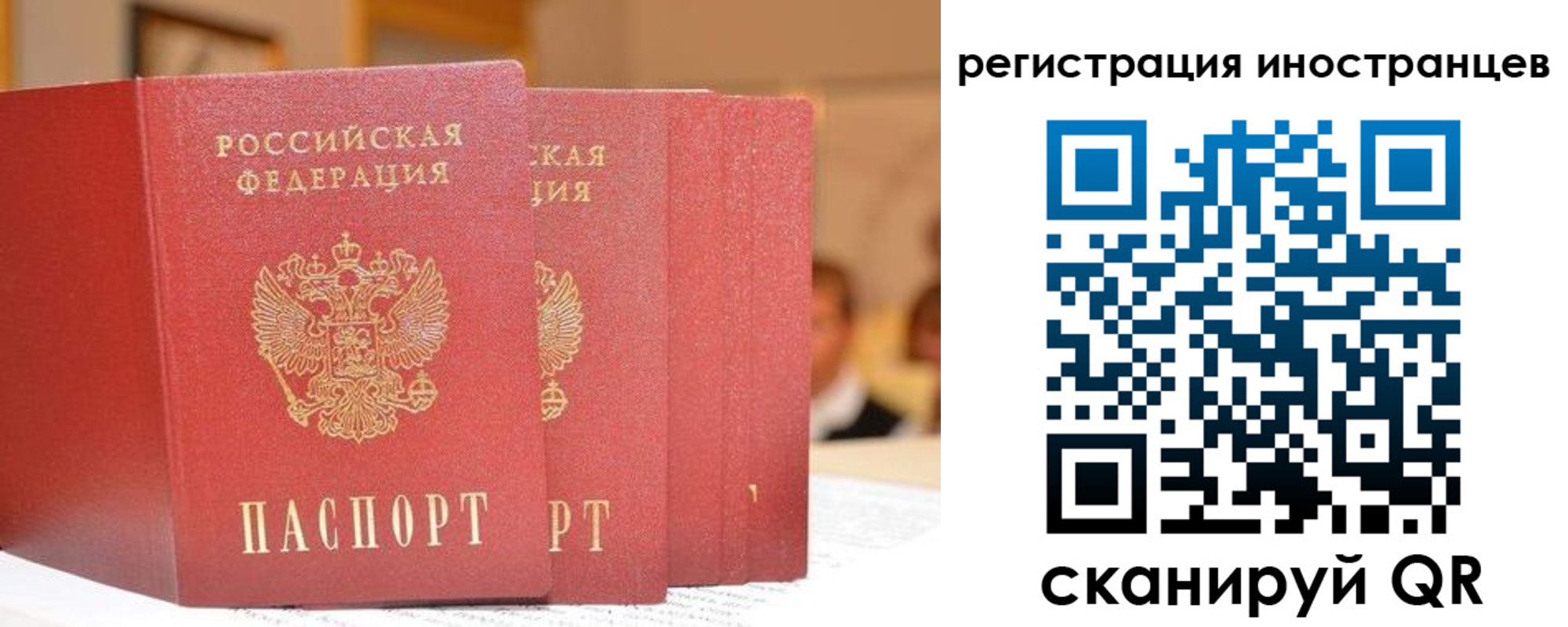 где прописаться в Россоши
